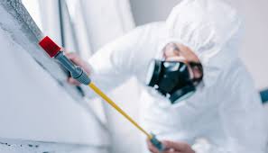 Emergency Pest Control Services in Shady Cove, OR